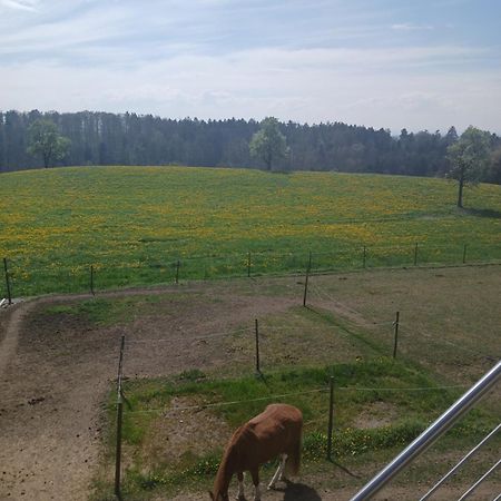 Wohnung Mit Ausblick Ravensburg Dış mekan fotoğraf